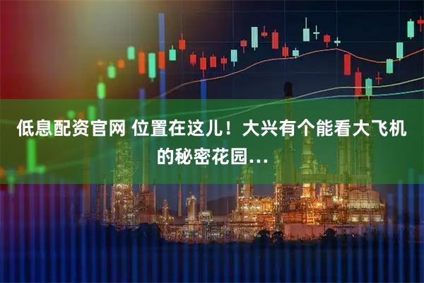 低息配资官网 位置在这儿！大兴有个能看大飞机的秘密花园…